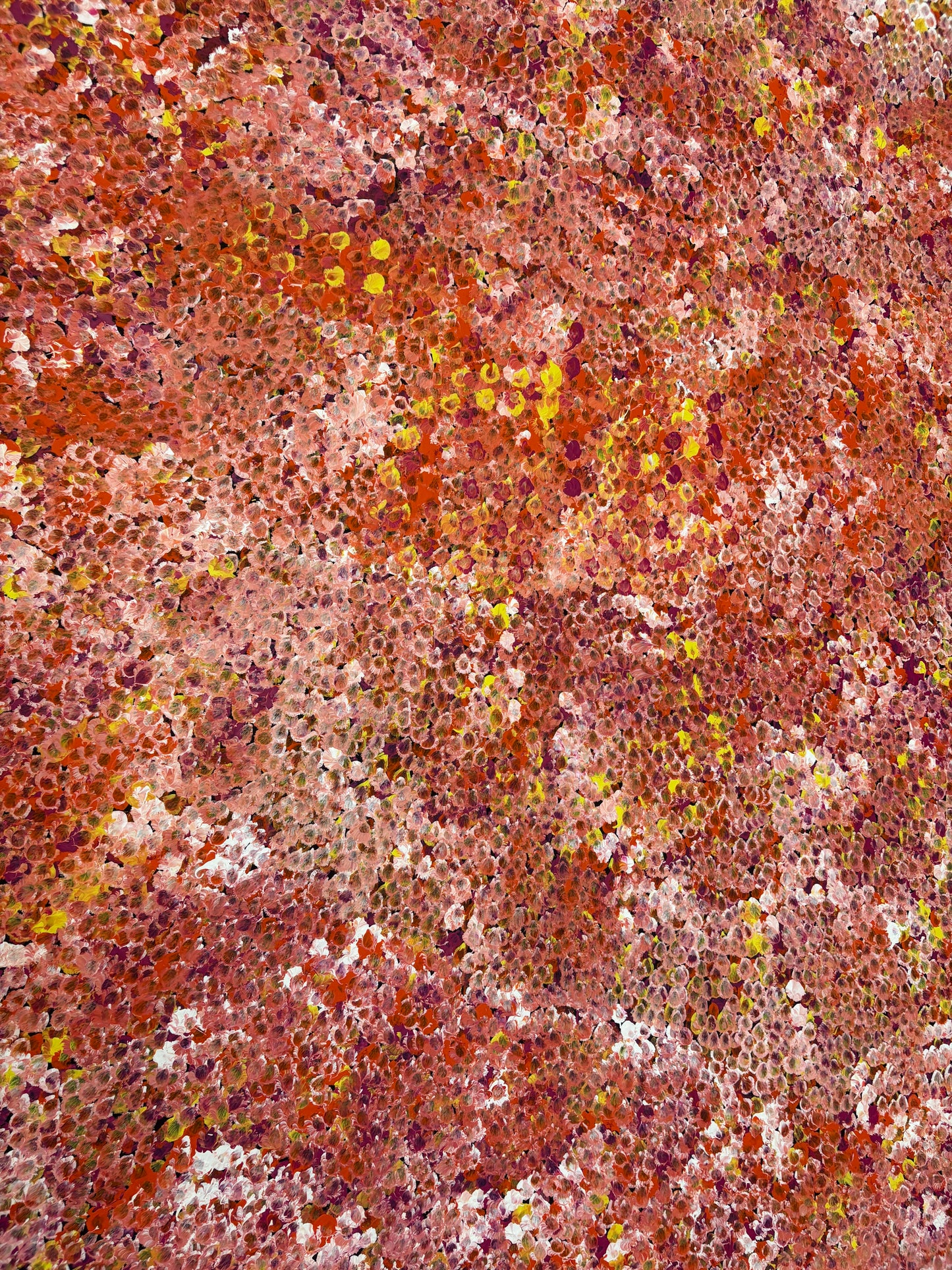 Belinda Golder Kngwarreye “Bush Plum Dreamimg”