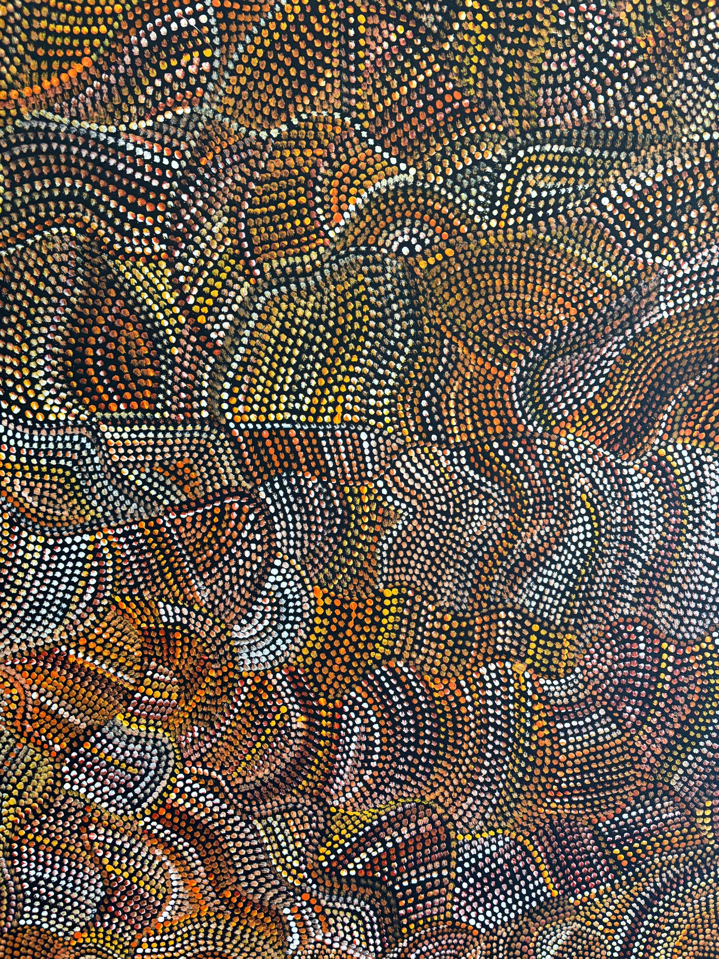 Joy Purvis Pitjara (Petyarre) “Bush Seeds”