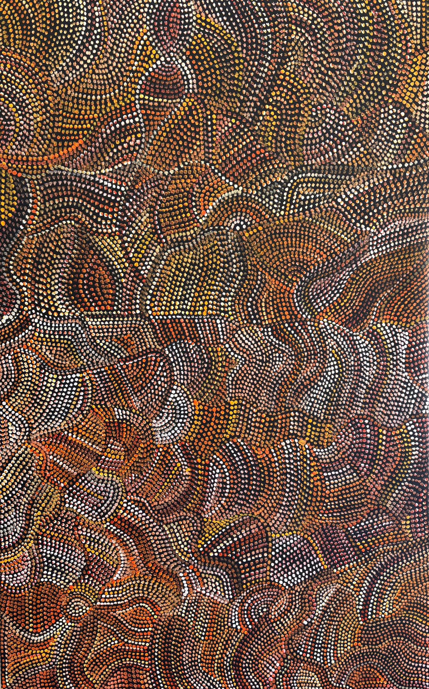 Joy Purvis Pitjara (Petyarre) “Bush Seeds”