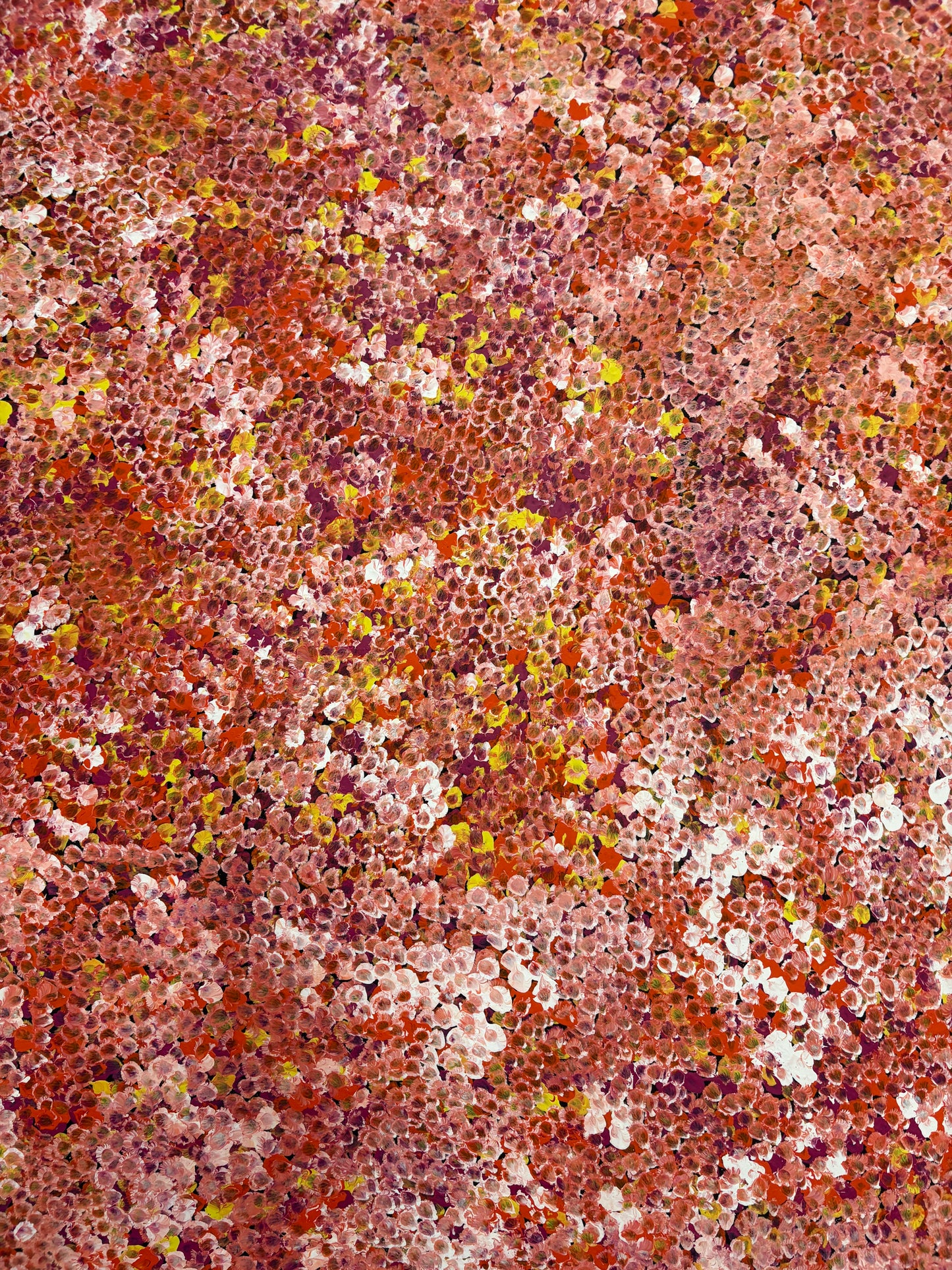 Belinda Golder Kngwarreye “Bush Plum Dreamimg”