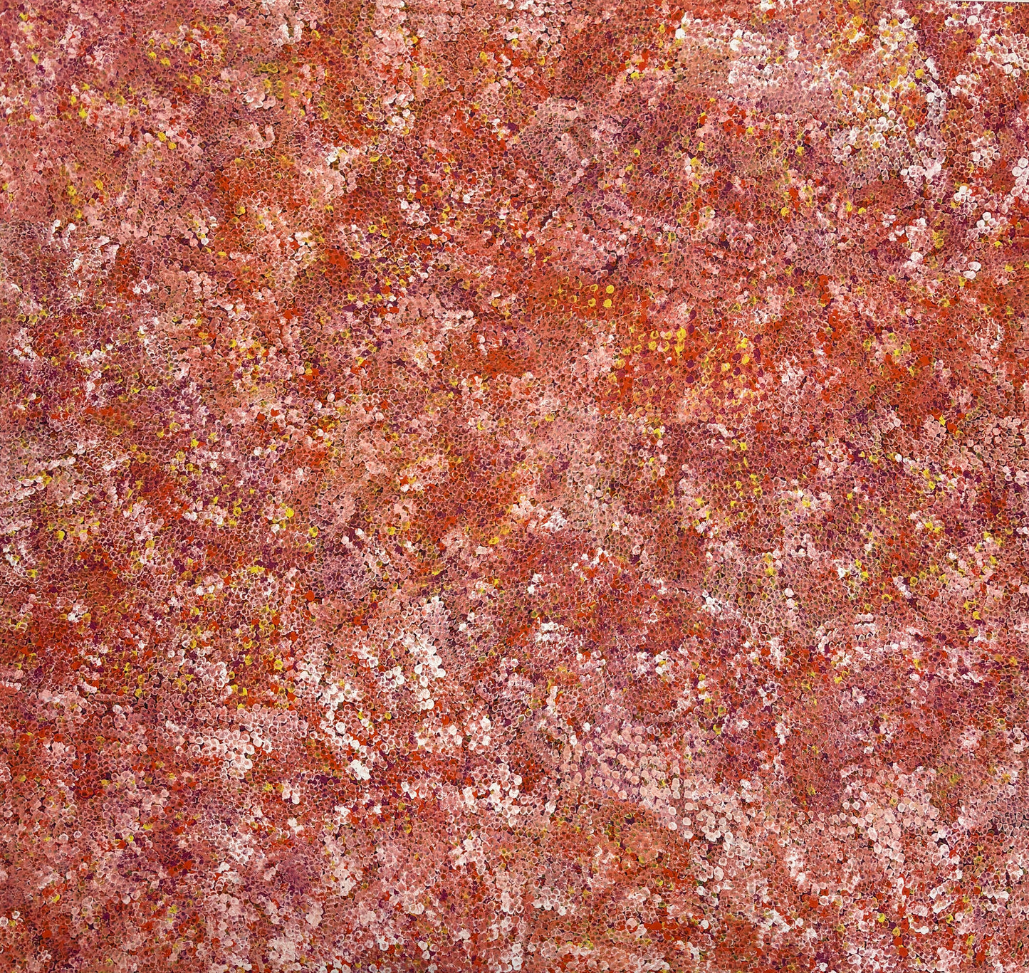 Belinda Golder Kngwarreye “Bush Plum Dreamimg”